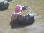 8.26-27.06 Twin Lakes & Palmateer Point 191 